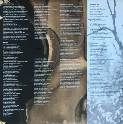 Sleater-Kinney - Path Of Wellness (VINYL) | Mint (M) Mint (M)-