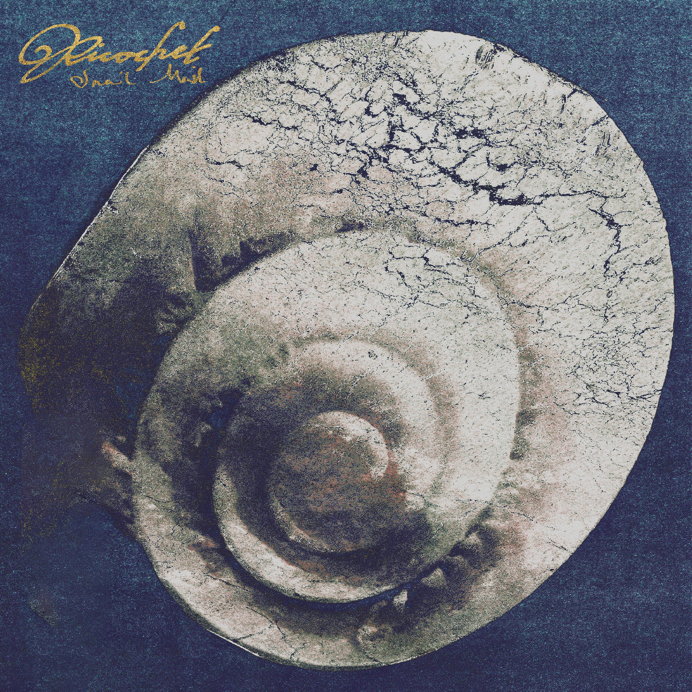 Snail Mail - Ricochet (VINYL) | Mint (M) Mint (M)-