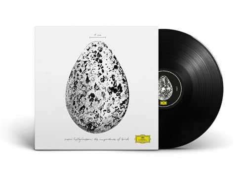 Snorri Hallgromsson - The Importance Of Birds [12" Ep] |-