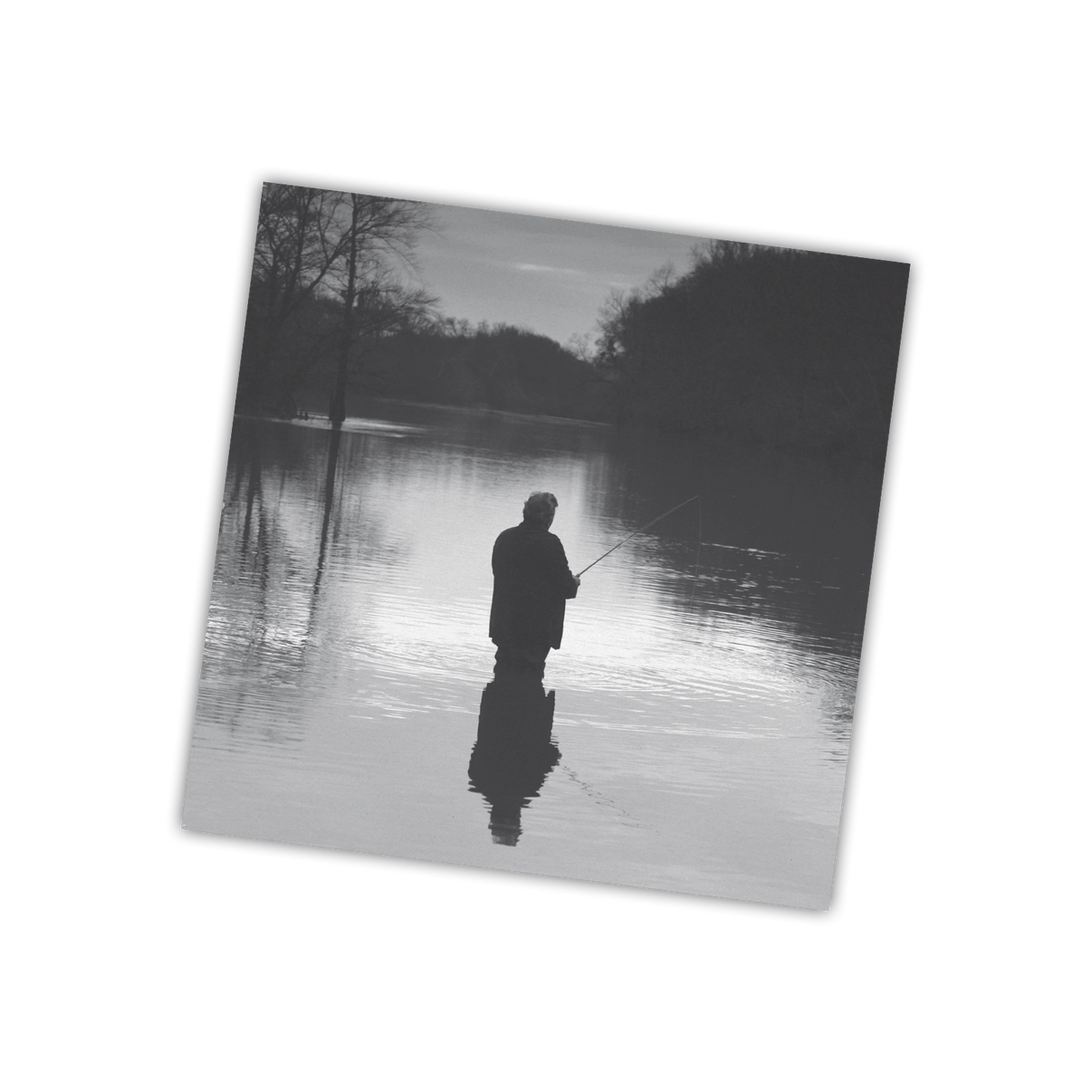 Danny Elfman - Big Fish (MOV | WHITE VINYL) | Mint (M) Mint (M)-