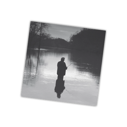 Danny Elfman - Big Fish (MOV | WHITE VINYL) | Mint (M) Mint (M)-