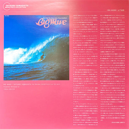 Big Wave = ビッグウェイブ (VINYL) | Mint (M) Mint (M)-