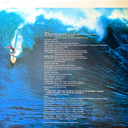 Big Wave = ビッグウェイブ (VINYL) | Mint (M) Mint (M)-