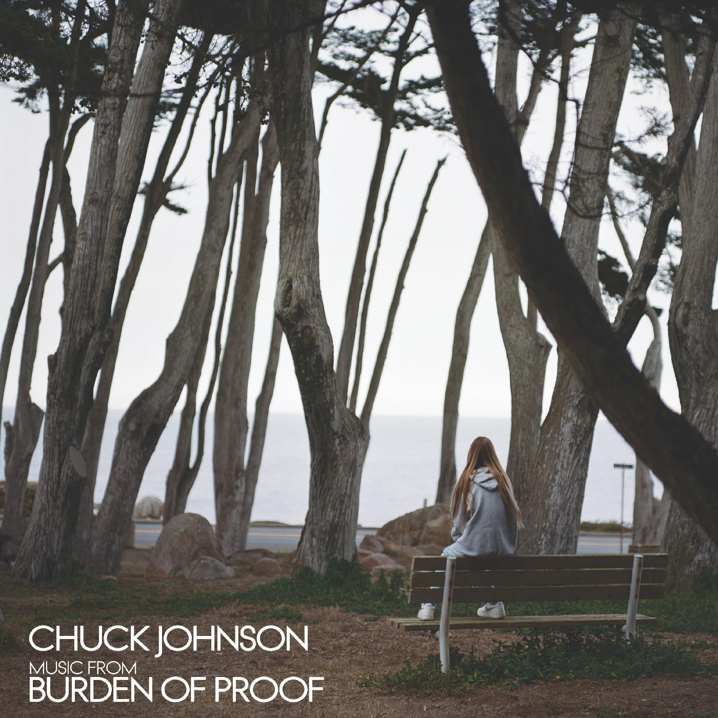 Johnson, Chuck - Burden Of Proof |-
