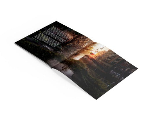 Gustavo Santaolalla - The Last Of Us (MOV | 180 GRAM VINYL) | Mint (M) Mint (M)-