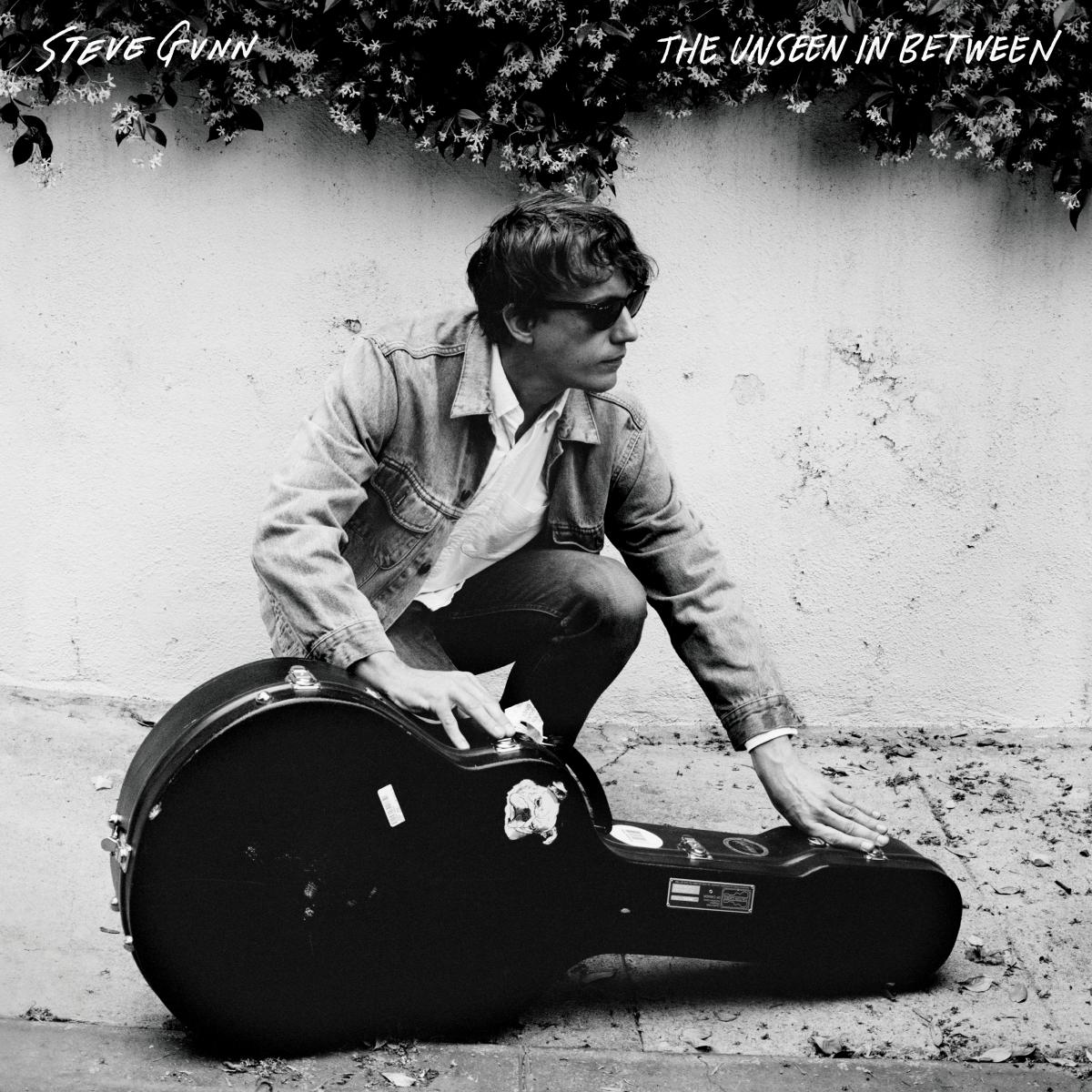 Steve Gunn - The Unseen In Between (VINYL) | Mint (M) Mint (M)-