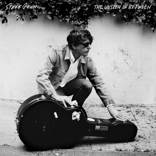 Steve Gunn - The Unseen In Between (VINYL) | Mint (M) Mint (M)-