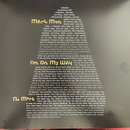 Steve Mason (2) - Brothers & Sisters | Mint (M) Mint (M)-