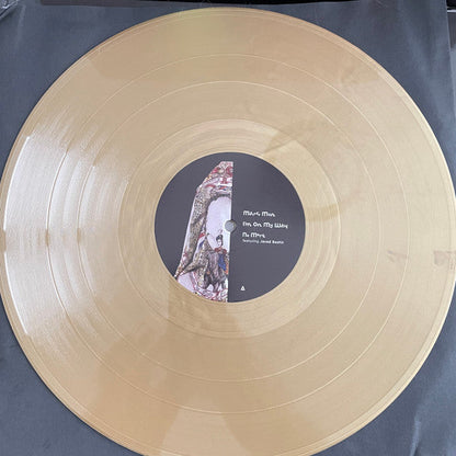 Steve Mason (2) - Brothers & Sisters | Mint (M) Mint (M)-