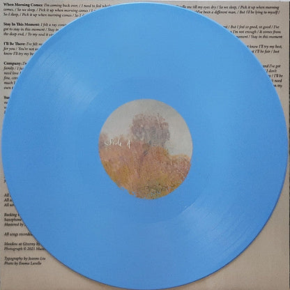 Strawberry Guy - Sun Outside My Window | Mint (M) Mint (M)-