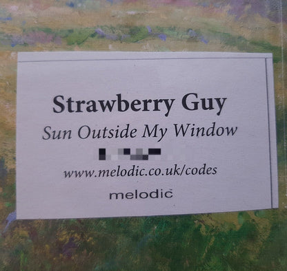 Strawberry Guy - Sun Outside My Window | Mint (M) Mint (M)-