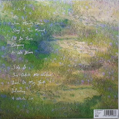 Strawberry Guy - Sun Outside My Window | Mint (M) Mint (M)-