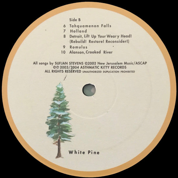 Sufjan Stevens - Greetings From Michigan: The Great Lake State | Mint (M) Mint (M)-
