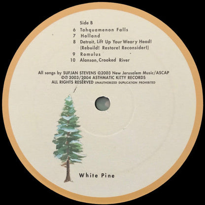 Sufjan Stevens - Greetings From Michigan: The Great Lake State | Mint (M) Mint (M)-