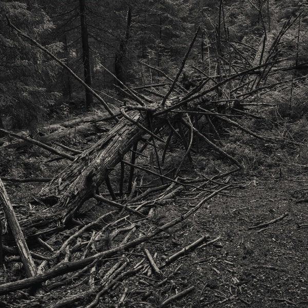 SULT - Always I Gnaw |-