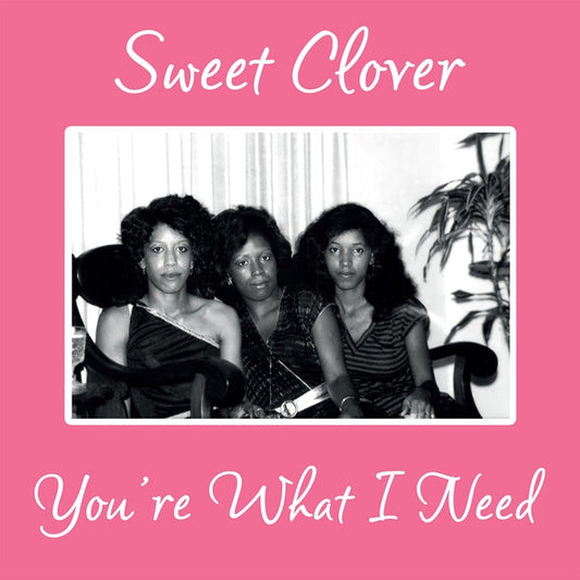 SWEET CLOVER - You're What I Need (VINYL 12" Kalita KALITA 12021) |-