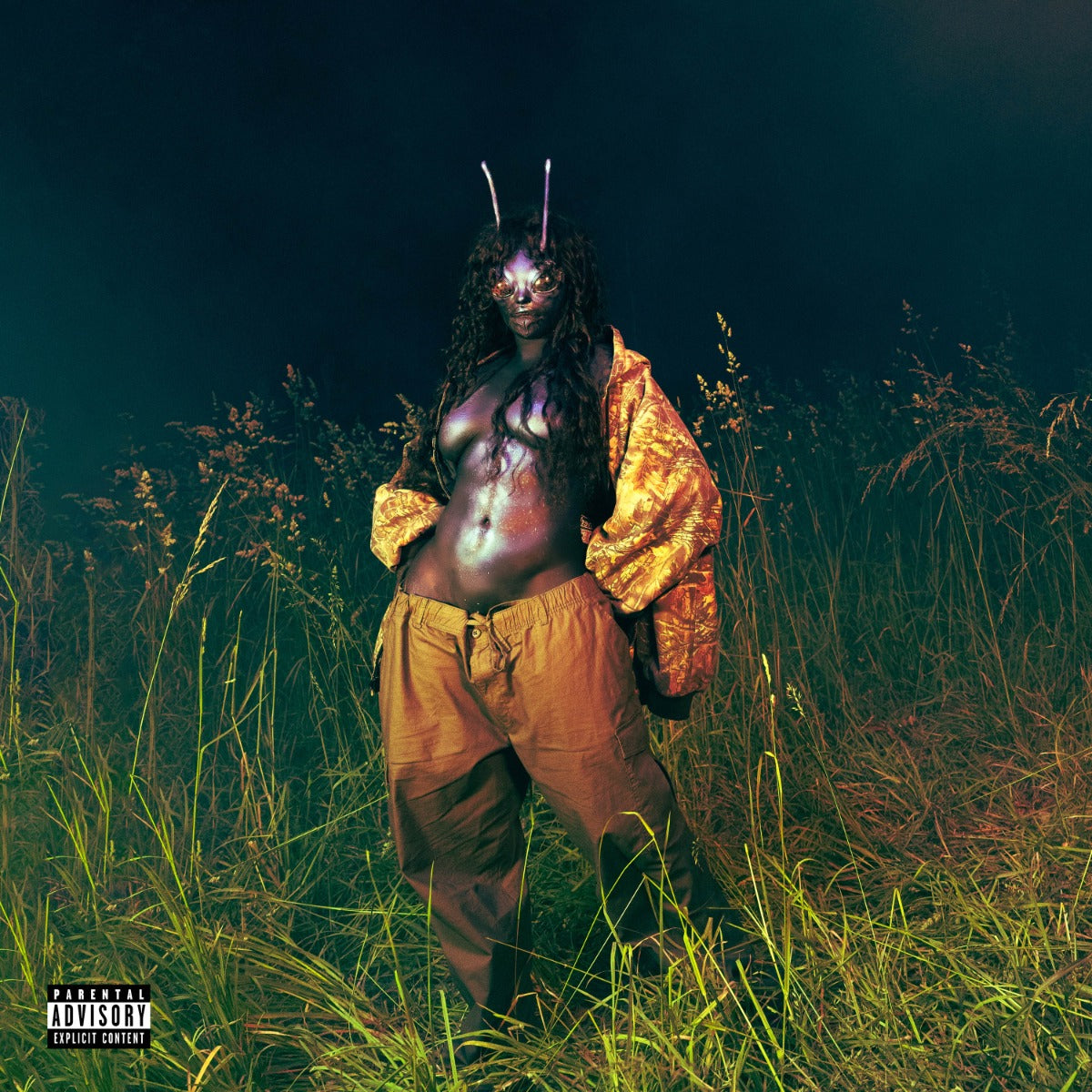 SZA - SOS Deluxe: Lana (4xVINYL) | Mint (M) Mint (M)-