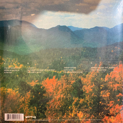 Tame Impala - Innerspeaker | Mint (M) Mint (M)-