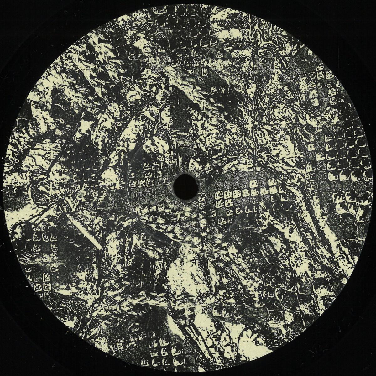Per Hammar - Sidewinder EP (VINYL 12" Craigie Knowes CKNOWEP73) | NEW Mint (M) Mint (M)--