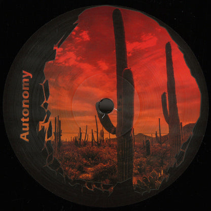 Autonomy - Autonomy (VINYL 12" Evasive Records EVA004) | NEW Mint (M) Mint (M)--