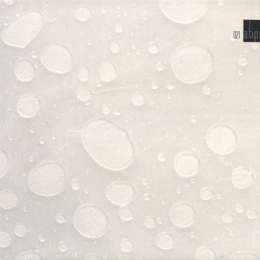 Lizz - Atipic 21 (VINYL 12") | Mint (M) Mint (M)--