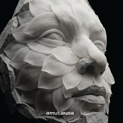 Various - AML007 (VINYL 12" Amulanga AML007 2026) | NEW--