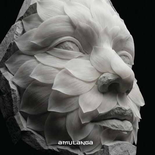 Various - AML007 (VINYL 12" Amulanga AML007 2026) | NEW--