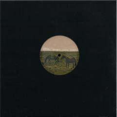 Braga Circuit - Thanks All (VINYL) |--
