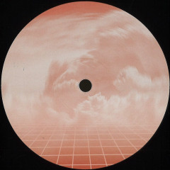 Len Lewis - Critical Mass EP (VINYL 12") | Mint (M) Mint (M)--