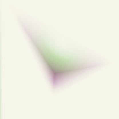 Anechoic (4) - In Echoes Of Fractured Light (VINYL) | Mint (M) Mint (M)-