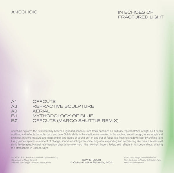 Anechoic (4) - In Echoes Of Fractured Light (VINYL) | Mint (M) Mint (M)-
