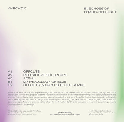 Anechoic (4) - In Echoes Of Fractured Light (VINYL) | Mint (M) Mint (M)-