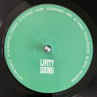 Various Molten Mirrors - A Decade Of Livity Sound 4xLP, Comp + Box Mint (M) Mint (M)--
