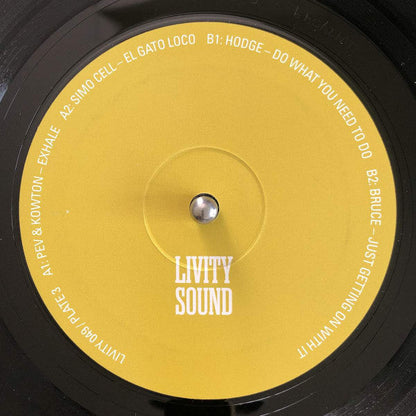 Various Molten Mirrors - A Decade Of Livity Sound 4xLP, Comp + Box Mint (M) Mint (M)--