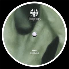 Feral - Woodland (VINYL 12") | Mint (M) Mint (M)--