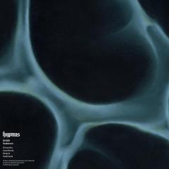 BLNDR - Radiolaria (VINYL 12") | Mint (M) Mint (M)--