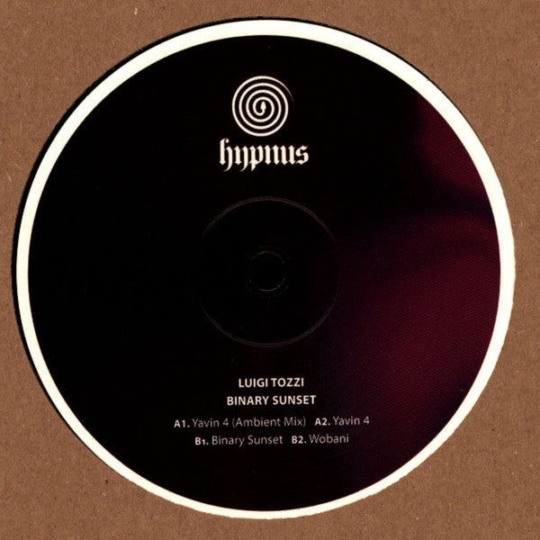 Luigi Tozzi - Binary Sunset (VINYL) | Mint (M) Mint (M)--