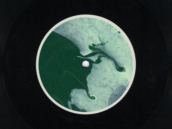 Sentient (VINYL 12") | Mint (M) Mint (M)--