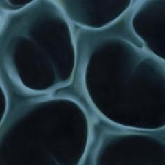 BLNDR - Radiolaria (VINYL 12") | Mint (M) Mint (M)--