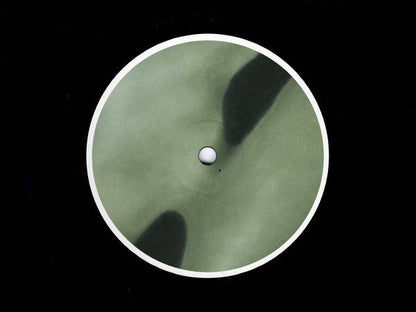 Feral (11) - Woodland (VINYL 12") | Mint (M) Mint (M)--