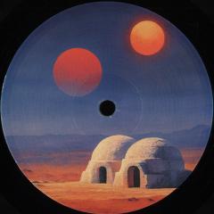 Various - Transient States. Feedback (VINYL 12") | Mint (M) Mint (M)--