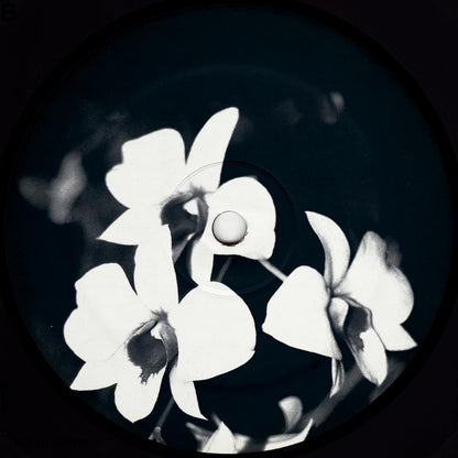 Ovatow - (PRESALE 09/07/26) Phalaenopsis Revisited (VINYL 12" Undacurrnt U2000) | NEW Mint (M) Mint (M)--