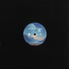 Various - Transient States. Feedback (VINYL 12") | Mint (M) Mint (M)--