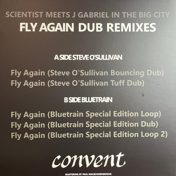 Scientist - Fly Again Dub Remixes (VINYL) | Mint (M) Mint (M)--