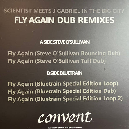 Scientist - Fly Again Dub Remixes (VINYL) | Mint (M) Mint (M)--