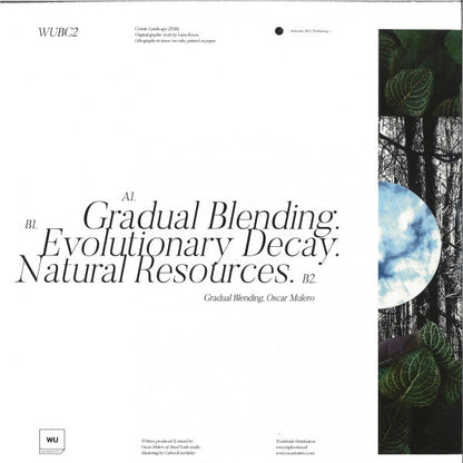 Gradual Blending (CLEAR VINYL) | Mint (M) Mint (M)--