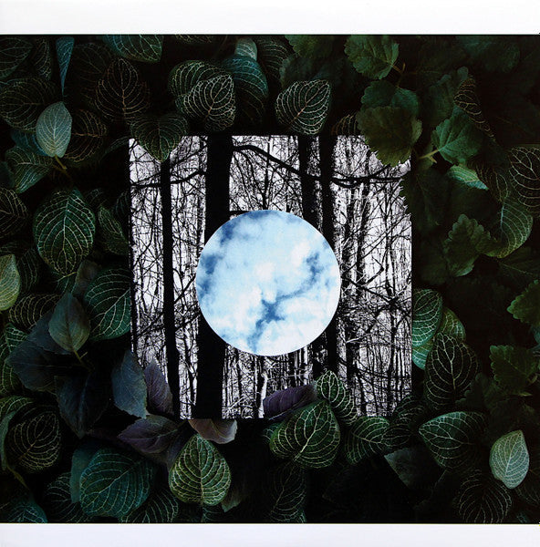 Gradual Blending (CLEAR VINYL) | Mint (M) Mint (M)--