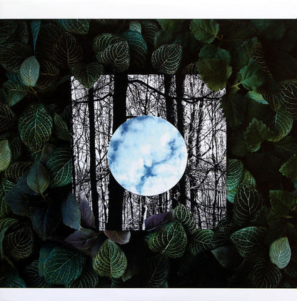Gradual Blending (CLEAR VINYL) | Mint (M) Mint (M)--