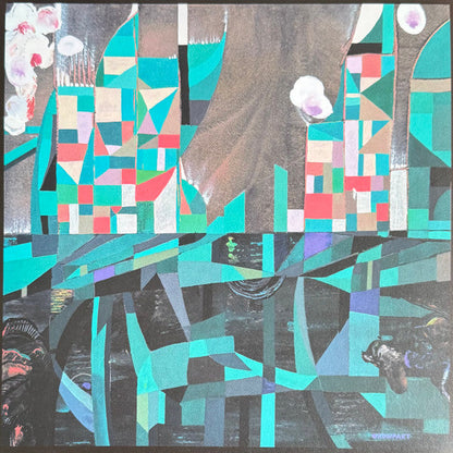 Wata Igarashi - Agartha Remixe (VINYL) | Mint (M) Mint (M)--