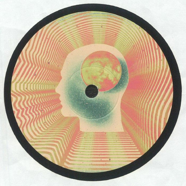 Dust City Diaries EP (VINYL) | Mint (M) Generic--